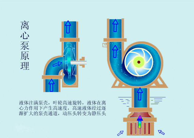 科普之離心泵啟動(dòng)時(shí)，出口閥門(mén)必須關(guān)閉嗎？(圖2)